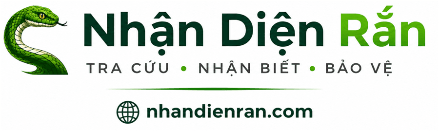NhậnDiệnRắn.com